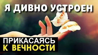 Я дивно устроен - Прикасаясь к вечности - Пётр Бальжик