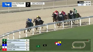 Gulfstream Park Carrera 7 - 8 de Diciembre 2022