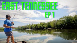 EAST TENNESSEE Ep. 1 (fly fishing)