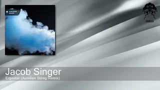 Jacob Singer - Ergaster (Aurelien Stireg Remix) [Bonzai Progressive]