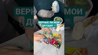 ВЕРНЫЕ ЛИ МОИ ДРУЗЬЯ? 🫂~ Таро онлайн расклад ⚡️