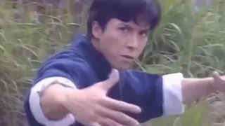 Donnie Yen tribute 2019