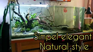 Simpel elegant natural style aquascape 120 cm |#aquascape