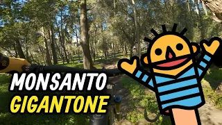 Gigantone - 4K RAW - Monsanto