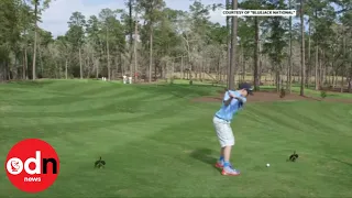 A brave boy hits a hole-in-one in front of Tiger Woods