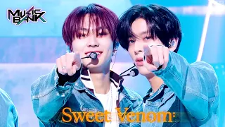 Sweet Venom - ENHYPEN エンハイプン [Music Bank] | KBS WORLD TV 231117