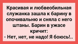 Служанка Сняла Штаны с Барина, а Он Боится! Сборник Свежих Смешных Жизненных Анекдотов!