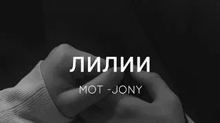 лилии - Мот & JONY (Lyrics - Latin)