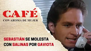 Sebastián se altera al escuchar a Salinas gritando a Gaviota | Café, con aroma de mujer