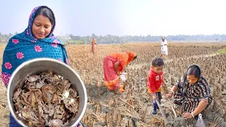 মাঠ থেকে ছোট ছোট কাঁকড়া ধরে কাঁকড়ার তেলঝল, কাঁকড়ার টক সাথে শংকর মাছের ঝাল রান্না || crab curry