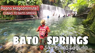 BATO SPRINGS - Natural Cold Spring in Laguna | How to get there?