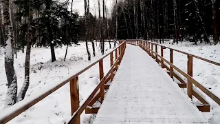 Оленья тропа и настоящие олени! Лосиная биостанция, Национальный парк "Лосиный остров".