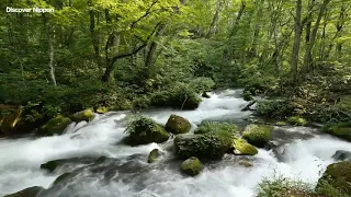 Музыка для медитации с Тибетскими чашами и частотой 432 Гц Music with Tibetan bowls and 432 Hz