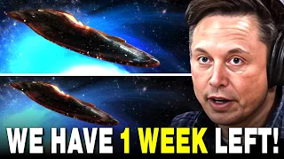 Elon Musk: "Oumuamua wird in 1 Woche DIREKT aufschlagen... ES IST NICHT ZU STOPPEN"