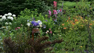 June Garden Tour // Northlawn Flower Farms