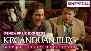 TEM4N D4N G4nJ4 ADALAH SEGALANYA - Alur Cerita Film PINEPPLE EXPRESS (2008) | #Gnineties