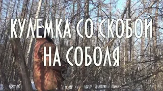 Кулёмка со скобой на соболя своими руками | Ловушки на соболя и куницу | добыча пушнины