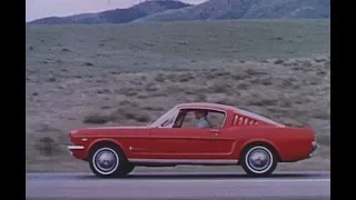 The Full Line 1965 - Mustang 2 plus 2