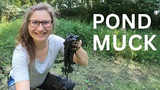 Pond Care -  Muck