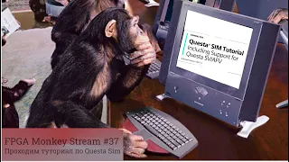 Проходим туториал по Questa Sim :: Часть 2 :: FPGA Monkey Stream #37