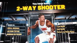 NBA2K22 2-Way Shooter Small Forward with 20 HOF Shooting Badges Pro Dunk Package