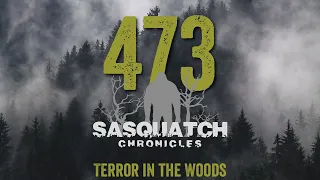 SC EP:473 Terror in the Woods
