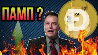 Dogecoin будет 1$ ? Фундаментальный и технический анализ! Новости криптовалюты!