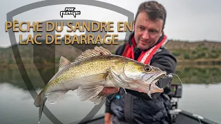 PÊCHE DU SANDRE EN LAC DE BARRAGE // FOX RAGE FRANCE