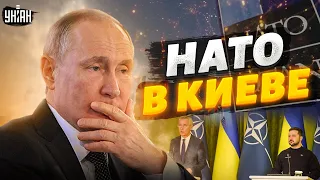 Путина втоптали в грязь. НАТО решила не молчать. Послание Зеленскому