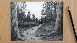 Forest Path Charcoal Drawing