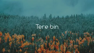 Tere Bin | Hum Kahan Ke Sachay Thay OST | Lyrics | Sheheryar Aesthetic (1080p HD)