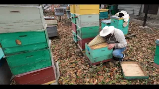 Дарма утеплюєм бджолині сімї в зиму  Бджільництво