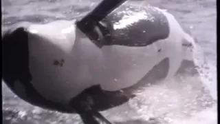 Free Willy 2 - The Adventure Home (1995) Teaser (VHS Capture)
