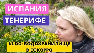 ИСПАНИЯ. ТЕНЕНИФЕ. VLOG: ВОДОХРАНИЛИЩЕ В СОКОРРО.