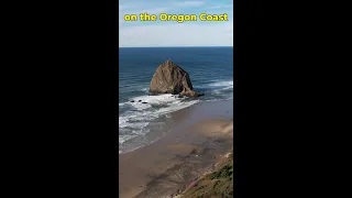 Oregon Coast Top 5 Places to Visit 🤩 (*from a local)