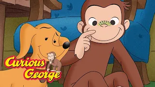 Curious George 🐵 George and Hundley's New Friends 🐵 Kids Cartoon 🐵  Kids Movies 🐵 Videos for Kids