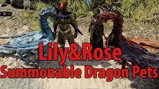 Lily&Rose - Summonable Dragon Pets - Divinity Original Sin 2 Definitive Edition