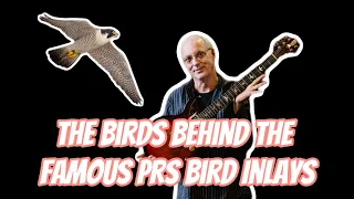 The Birds Behind The Famous PRS Inlays