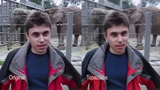 Me at the zoo 4K