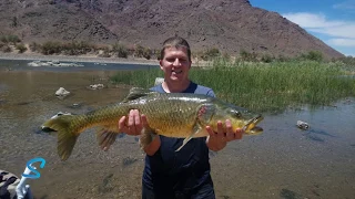 Catching a monster Yellowfish - and almost losing everything !!  Funniest fishing moments.