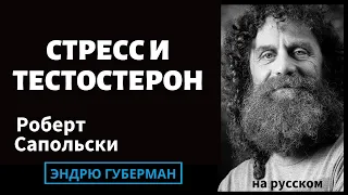 Доктор Роберт Сапольский: Наука о стрессе, тестостероне и свободе воли | на русском #35