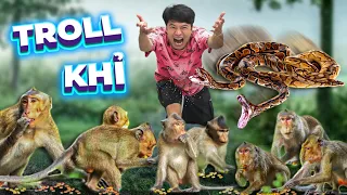 𝐓𝐨𝐧𝐲 | Troll Khỉ Hoang Trong Rừng 🐵 𝐌𝐨𝐧𝐤𝐞𝐲 𝐓𝐫𝐨𝐥𝐥