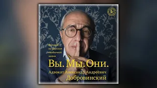 Вы. Мы. Они. Истории из обычной необычной жизни - Александр Добровинский - Аудиокнига