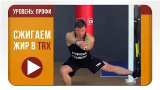 Александр Мельниченко - жиросжигающая тренировка в TRX | Level 3 (профи) | 60