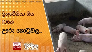 ලිතුවේනියා ගිය 106ක් ඌරු කොටුවල...