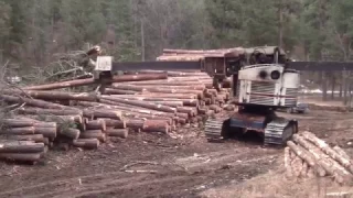 Meza Logging Black Hills 2017