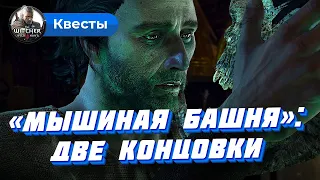 "Мышиная башня" в Ведьмаке 3: как поступить с Анабель?