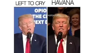 Donald Trump -cover de (NTLTC) Y (Havana)