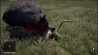 All Animals Hunting Sambar (Far Cry 4)