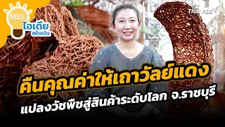 คืนคุณค่าให้เถาวัลย์แดง แปลงวัชพืชสู่สินค้าระดับโลก จ.ราชบุรี | Make Money ไอเดียสร้างเงิน